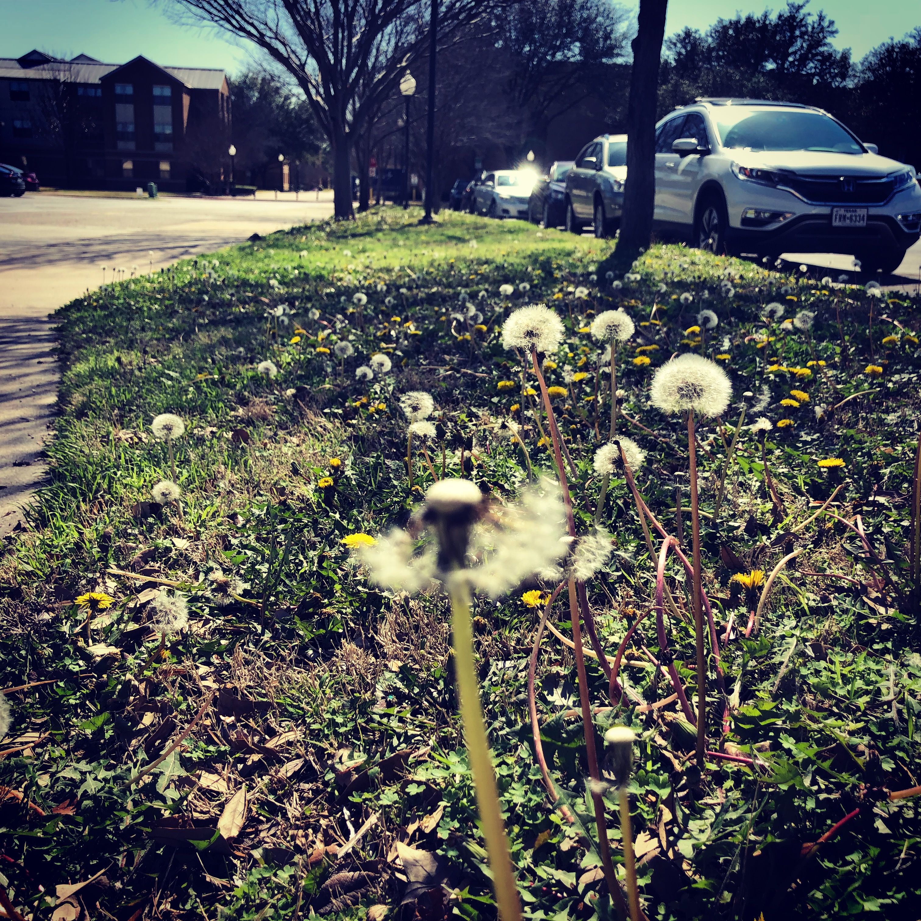 File Feb 28, 10 39 31 PM